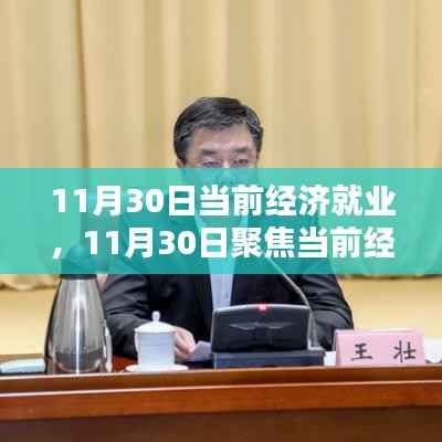 11月30日深度解析,当前经济就业状况、趋势、挑战与机遇