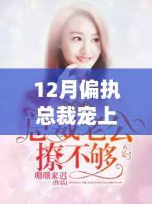 12月偏执总裁宠上瘾最新,12月,暖阳下的偏执总裁与温馨日常