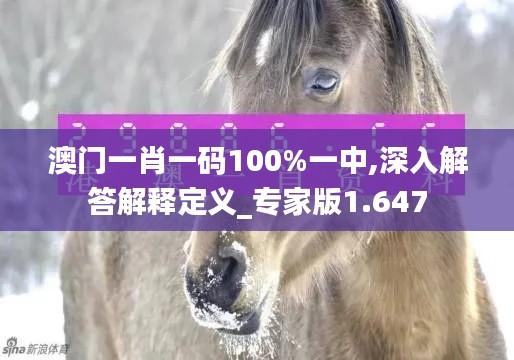 澳门一肖一码100%一中,深入解答解释定义_专家版1.647