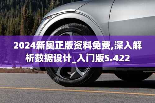 2024新奥正版资料免费,深入解析数据设计_入门版5.422