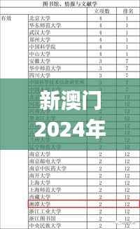 新澳门2024年资料大全宫家婆,实效性计划设计_进阶版10.866