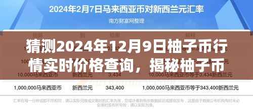 揭秘柚子币行情,探索未来价格走势与特色小店的独特视角(实时价格查询)
