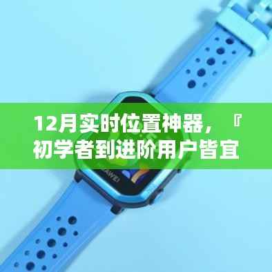 从初学者到进阶用户皆宜，12月实时位置神器使用指南——合法追踪，避免违法行为