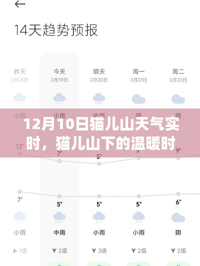 猫儿山下的温暖时光,12月10日的天气与友情记事实时播报