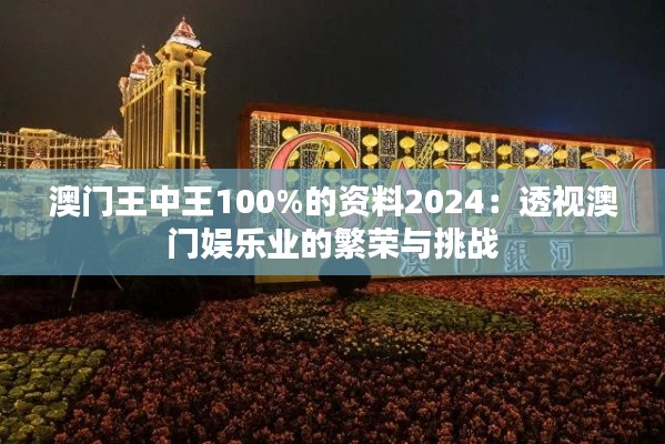 澳门王中王100%的资料2024:透视澳门娱乐业的繁荣与挑战