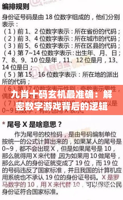 九肖十码玄机最准确:解密数字游戏背后的逻辑与概率学