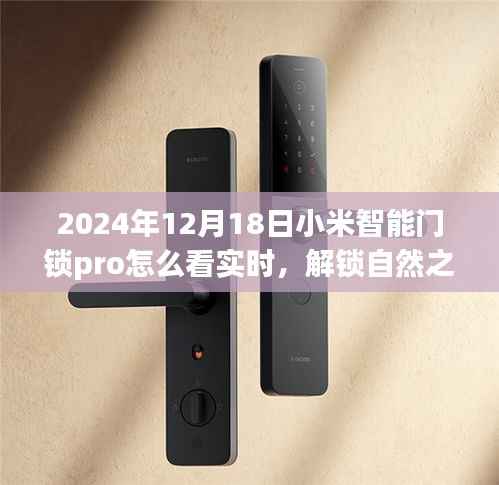 穷鸟入怀 第4页