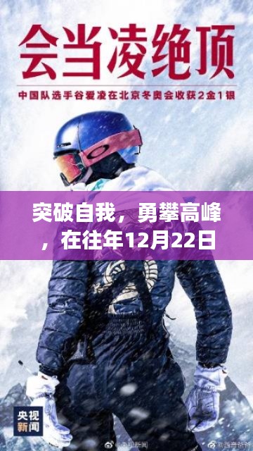 公司概况 第273页