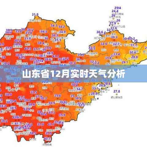 山东12月实时天气概况分析