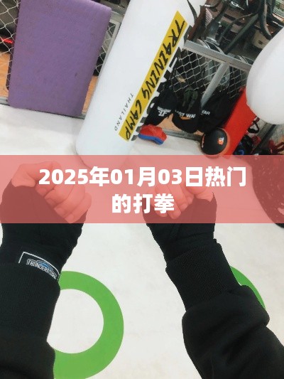 2025年热门拳赛盛宴,打拳盛宴即将开启