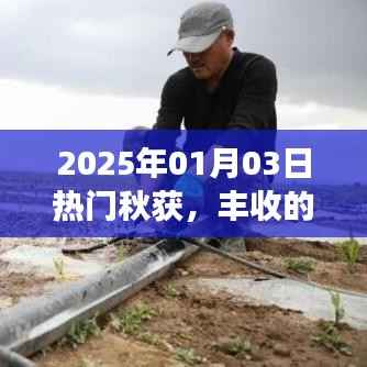 秋收盛宴,喜悦丰收,展望未来