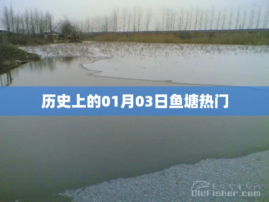 临危不惧 第3页