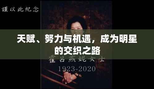 天赋、努力与机遇,成为明星的交织之路