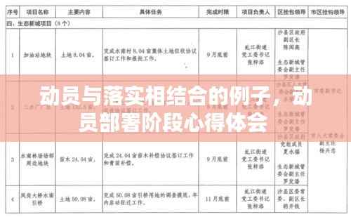 动员与落实相结合的例子,动员部署阶段心得体会