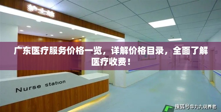 广东医疗服务价格一览,详解价格目录,全面了解医疗收费!
