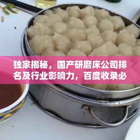 独家揭秘,国产研磨床公司排名及行业影响力,百度收录必备标题!