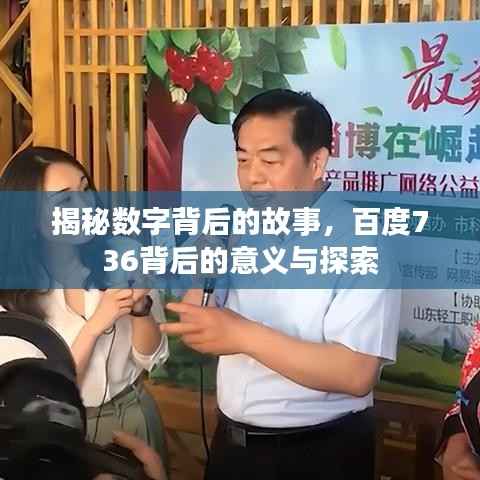 揭秘数字背后的故事，百度736背后的意义与探索