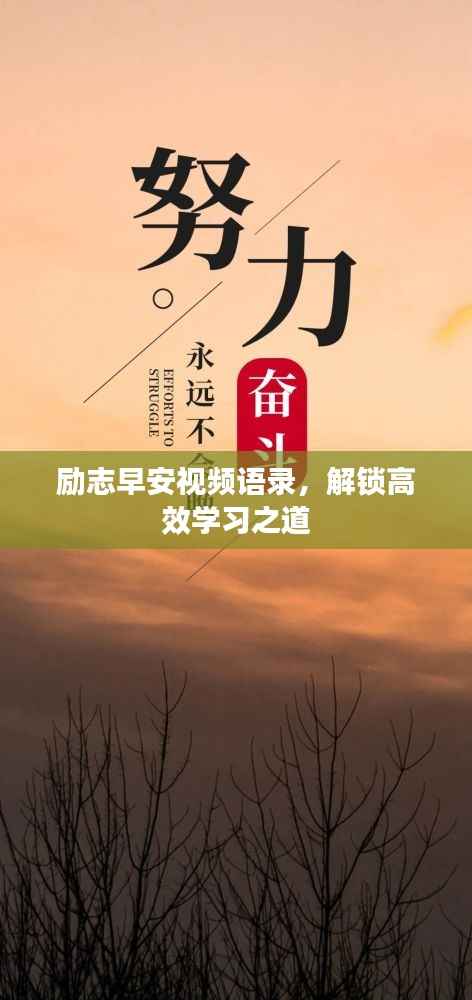 励志早安视频语录,解锁高效学习之道