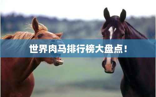 世界肉马排行榜大盘点!