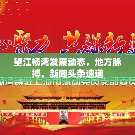 望江杨湾发展动态,地方脉搏,新闻头条速递