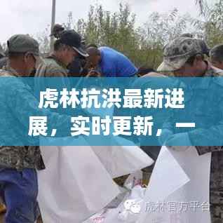 虎林抗洪最新进展,实时更新,一线救援动态揭秘
