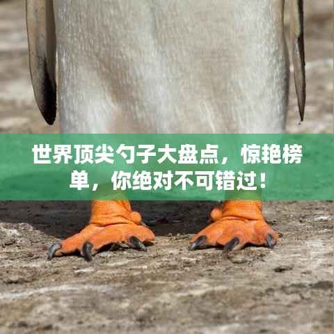 世界顶尖勺子大盘点，惊艳榜单，你绝对不可错过！