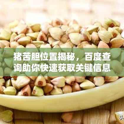 猪苦胆位置揭秘,百度查询助你快速获取关键信息