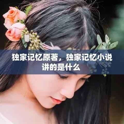 独家记忆原著,独家记忆小说讲的是什么