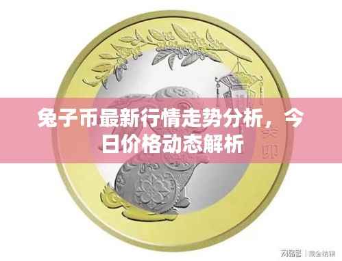 兔子币最新行情走势分析,今日价格动态解析
