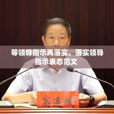 等领导指示再落实,落实领导指示表态范文