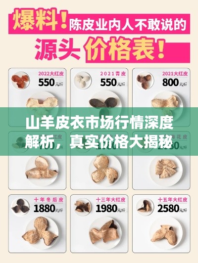 山羊皮衣市场行情深度解析,真实价格大揭秘!